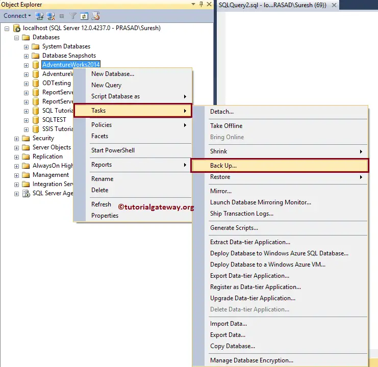 Backup SQL Database using Management Studio Task option 5