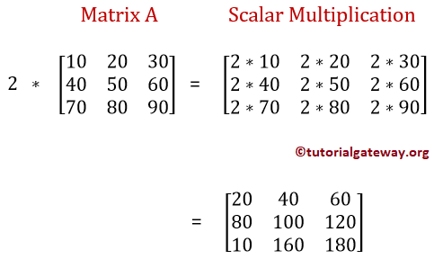 C Program to Perform Scalar Matrix Multiplication Example 1