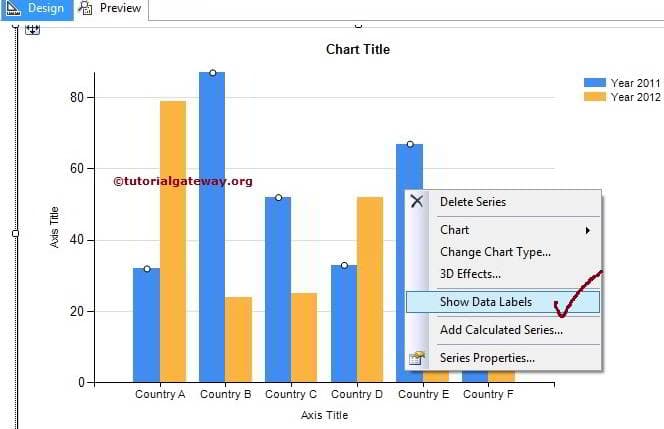 Show Data Labels of a Column Chart 6