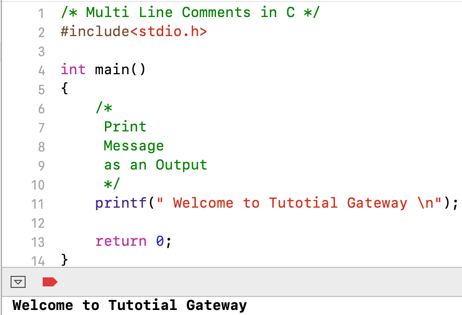 C Comments example 2