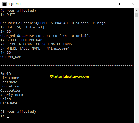 Connect to SQL Server using sqlcmd utility 8