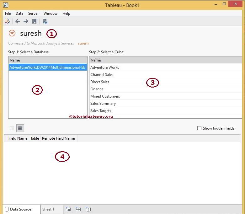 Connecting Tableau to Microsoft Analysis Services 4