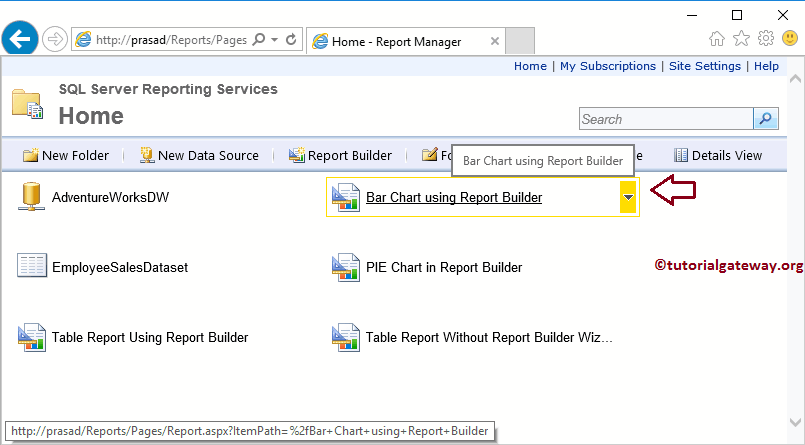 View Bar Chart in Report Manager 20