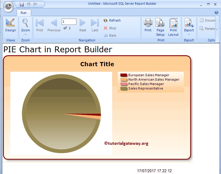View SSRS Pie Chart in Report Builder Wizard 12