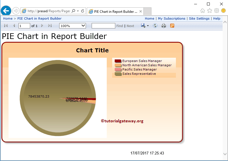 Create Pie Chart in SSRS Report Builder Wizard 17
