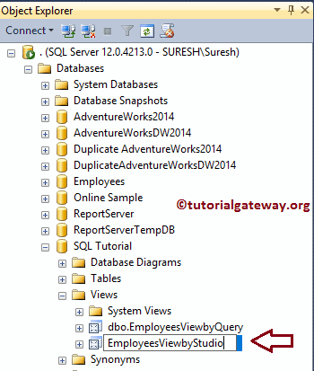 Rename Views in SQL Server 16