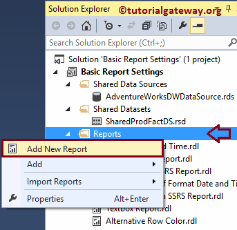 Create a New SSRS Report 1