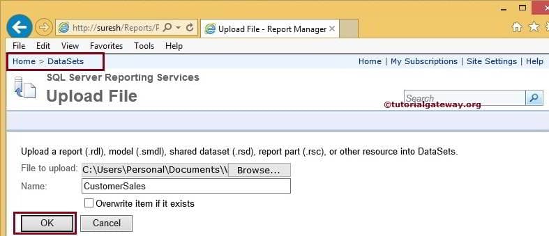 Deploy DataSets in Report Manager 10