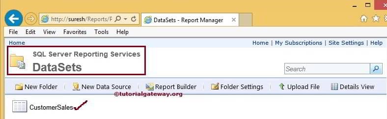 View Deployed DataSet in Report Manager 11