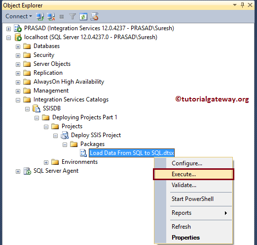 Execute the Package from SQL Server
