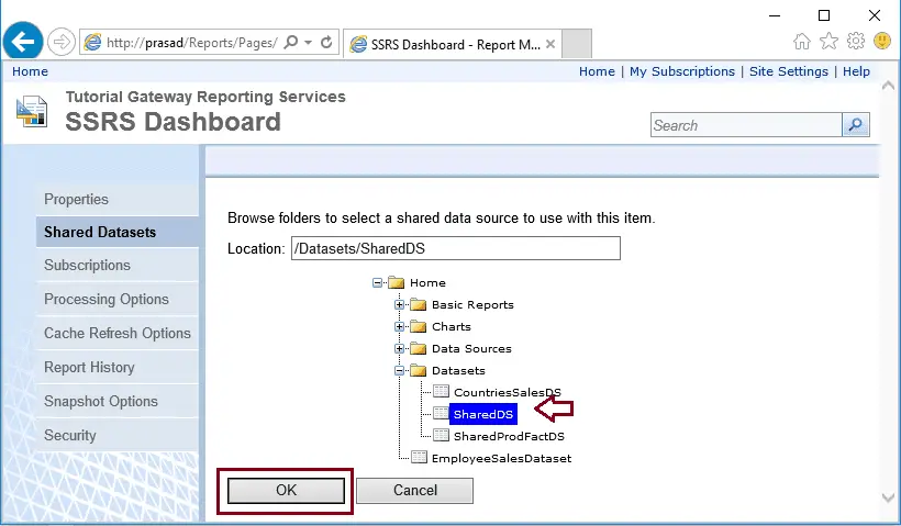 Deploy SSRS Reports using SSRS Report Manager 13