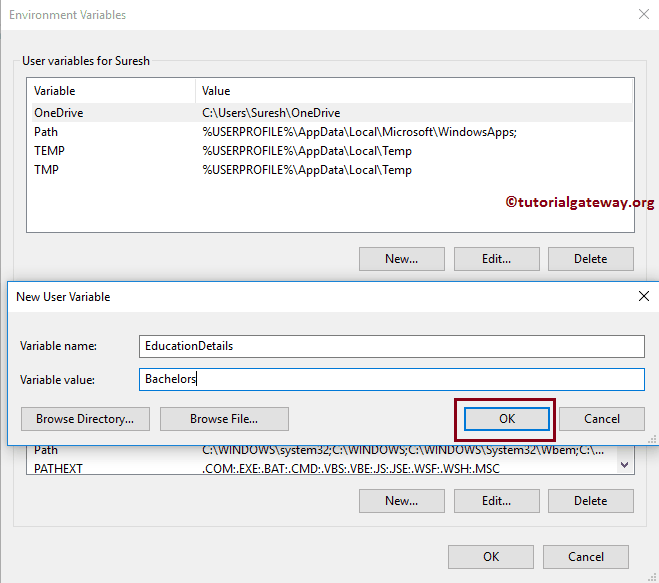 SSIS Package Configuration using Environment Variable
