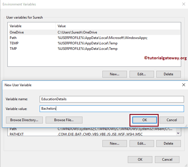 Add Environment Variable Name and Value