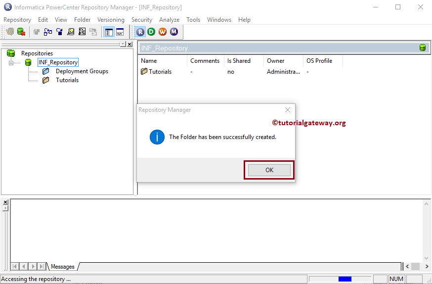 Informatica Repository Manager