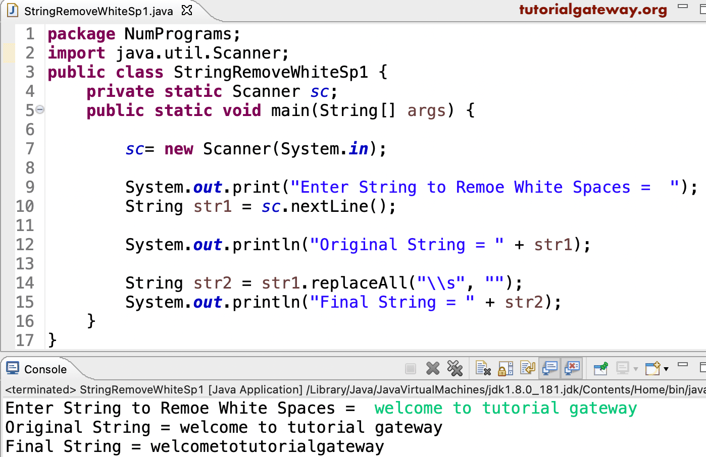 Java Program To Remove All Whitespaces from a String