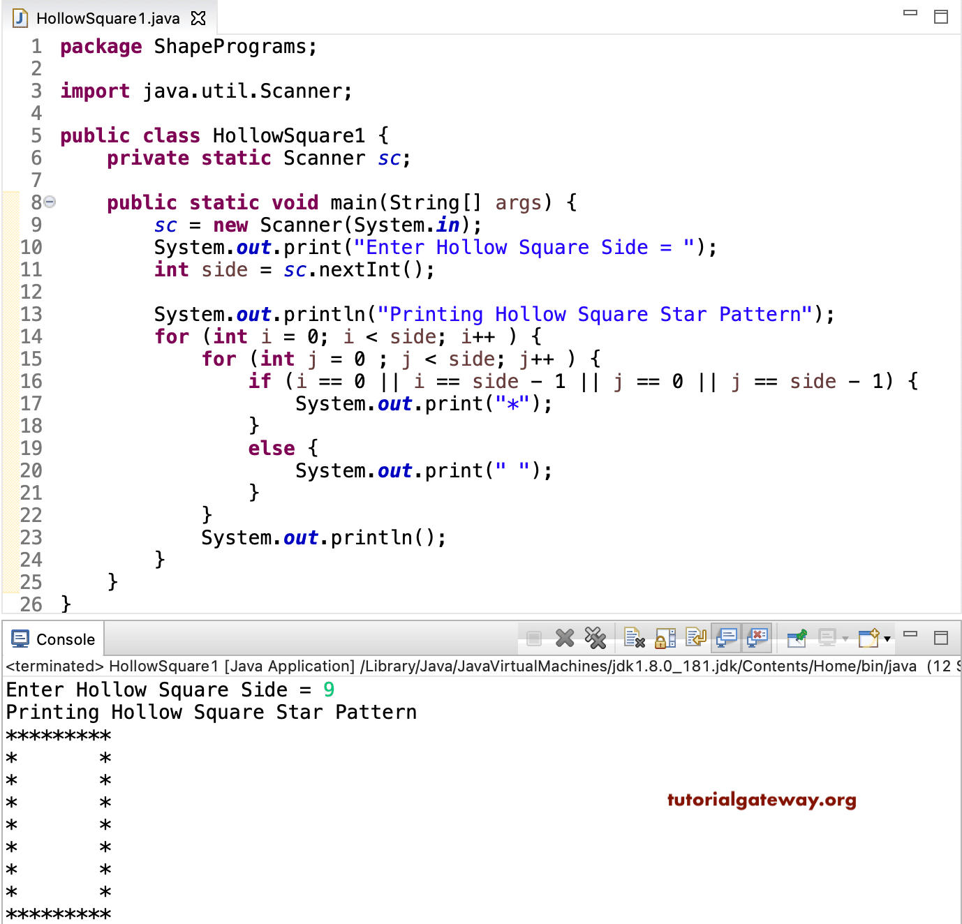Java Program to Print Hollow Square Star Pattern 1