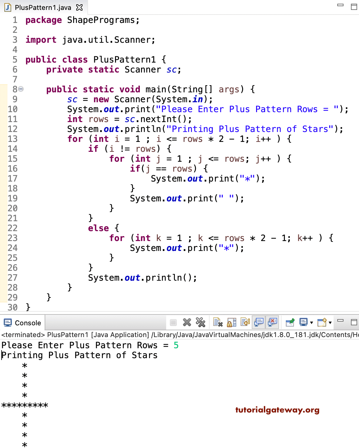 Java Program to Print Plus Star Pattern 1
