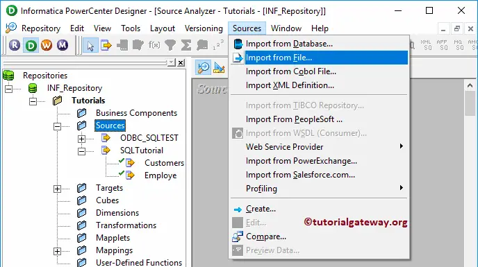 Import Text File to Informatica Source 