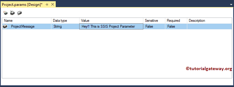 Project Parameters Data Type and Value