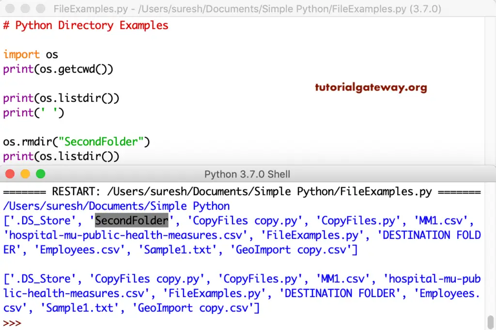 Python Delete Directory