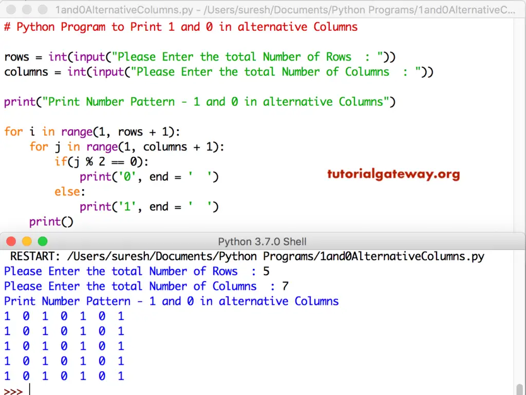 Python Program to Print 1 and 0 in alternative Columns 1