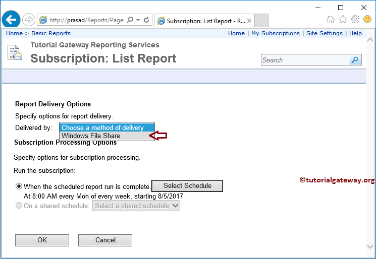 Choose the Report Delivery By