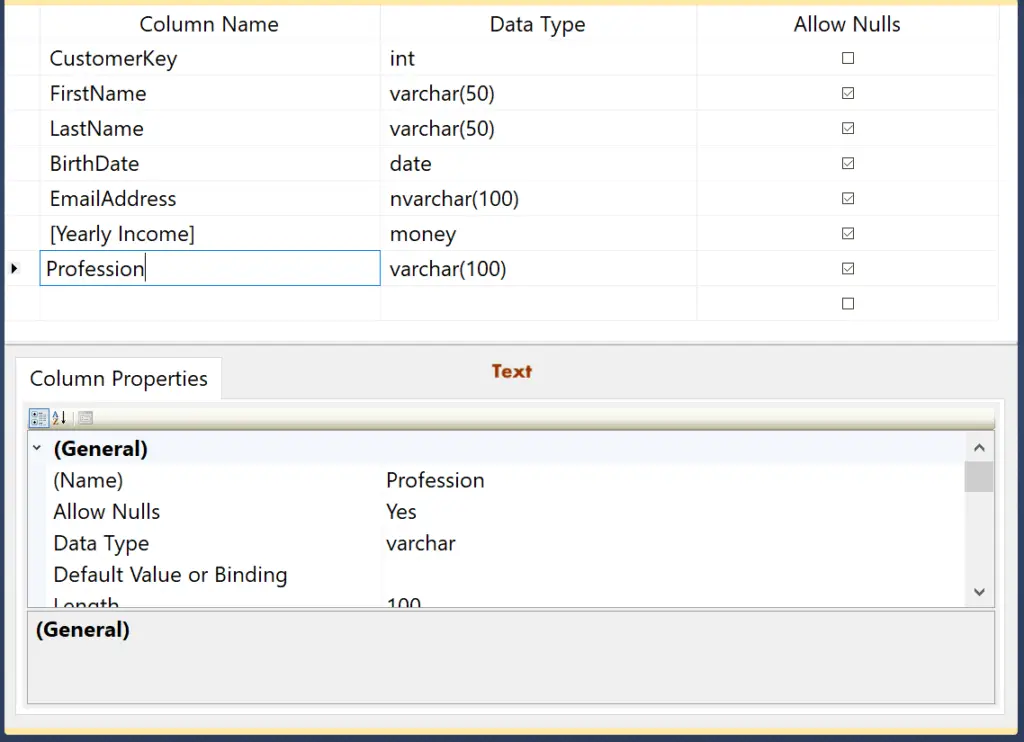 Add Column Names, Assign Data Types and Allow Nulls in the Designer Mode 12