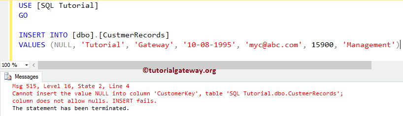 Insert Null values into SQL Primary Key constraint column error 11