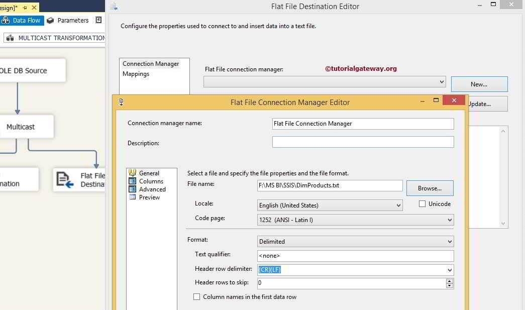 Flat File Connection manager 9