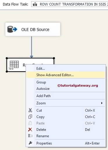 Row Count Transformation In SSIS