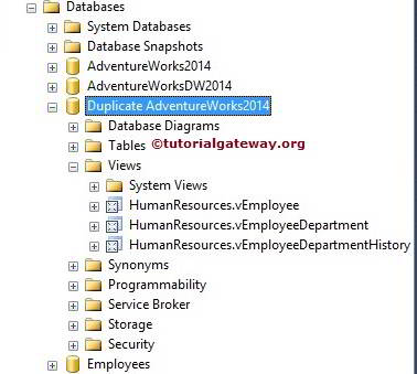 SSIS Transfer SQL Server Objects Task Copying Views 5