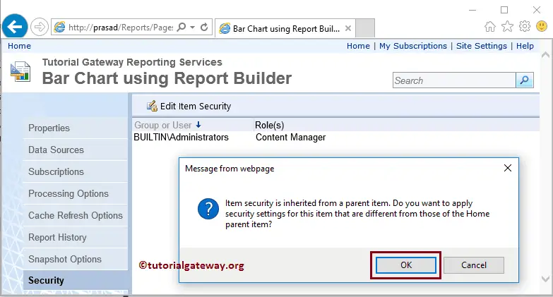 Security in SSRS 11
