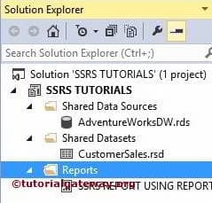 Reports folder in Solution Explorer 1