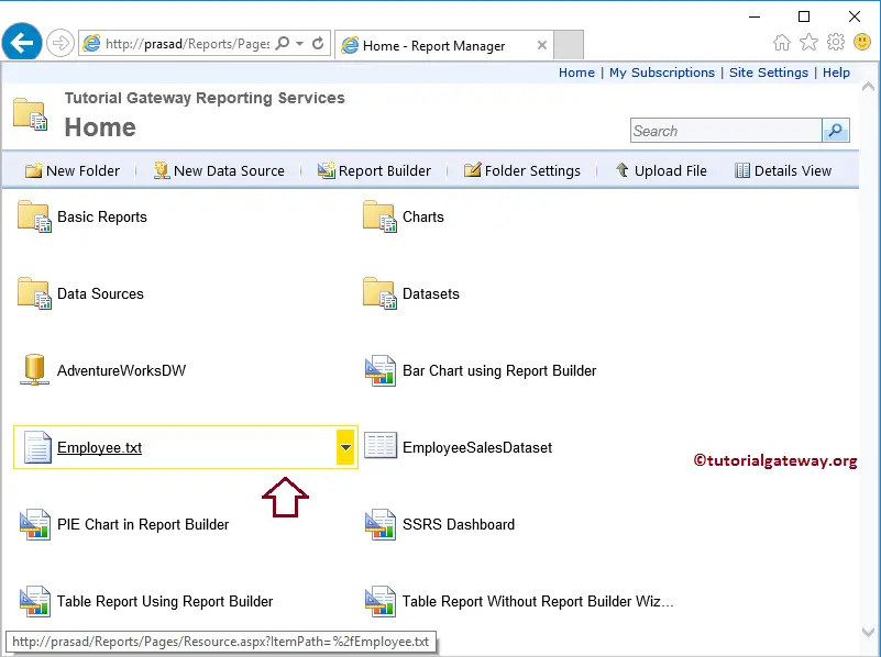 View Upload CSV File in Report Manager